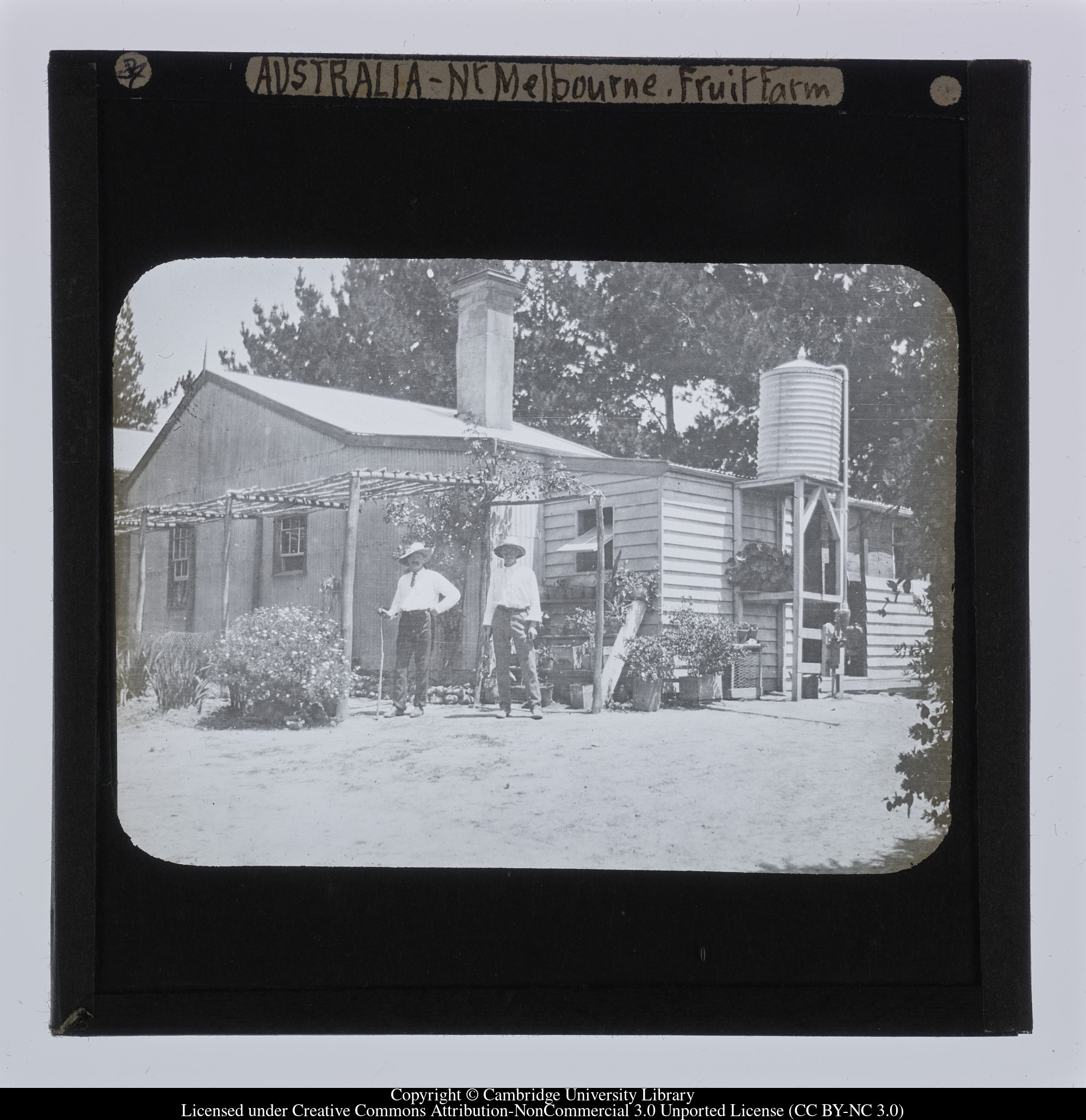 Australia - Nr Melbourne, Fruit farm, 1909