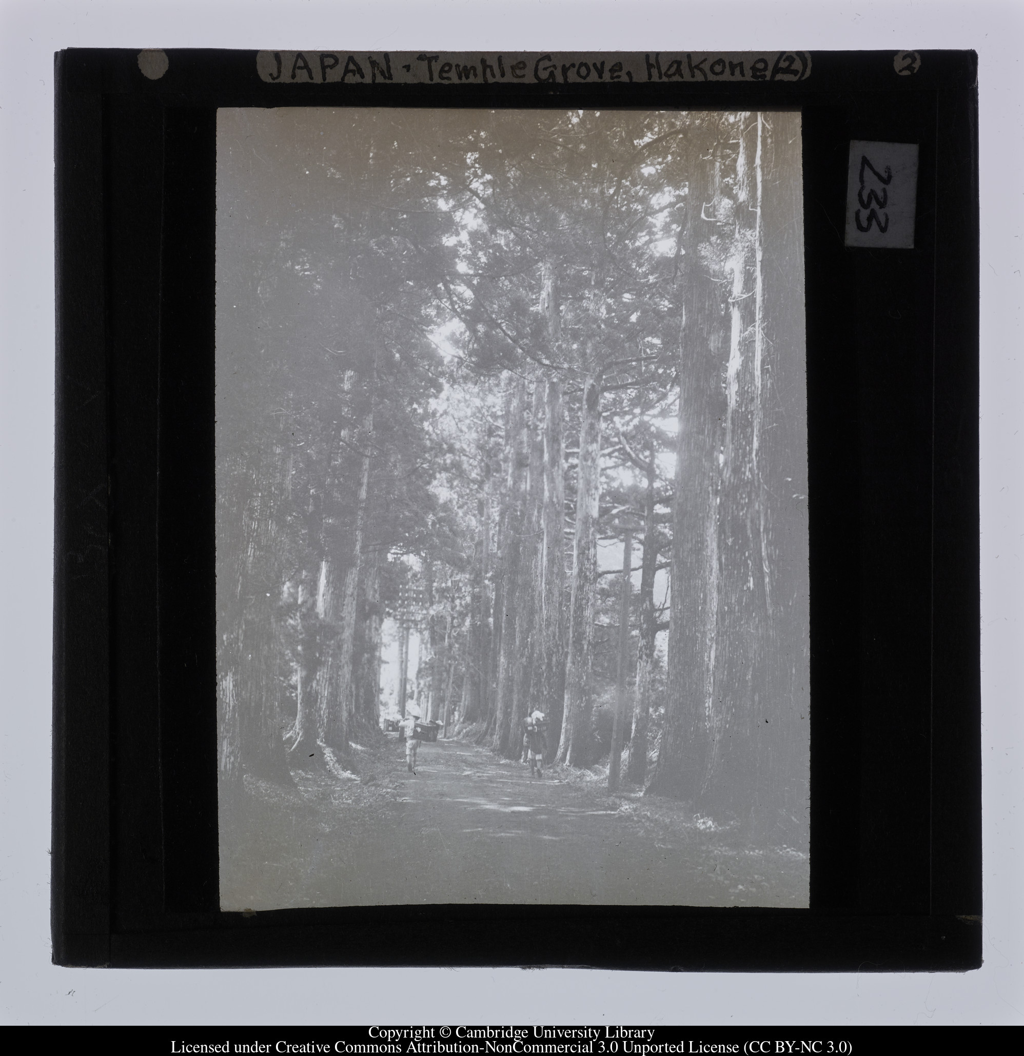 Japan - Temple Grove, Hakone, 1908 - 1915