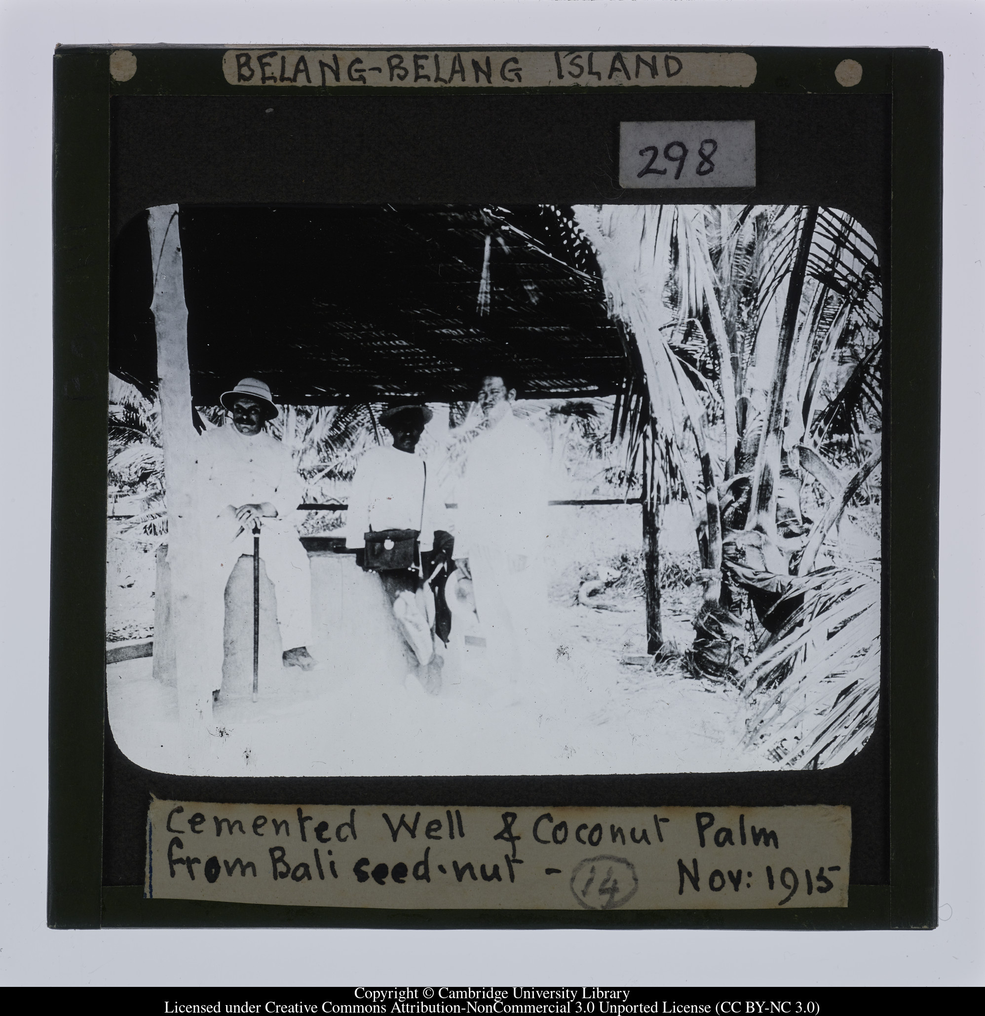 Belang-Belang Island.  Cemented well and Coconut Palm from Bali seed-nut.  Nov. 1915, 1915-11