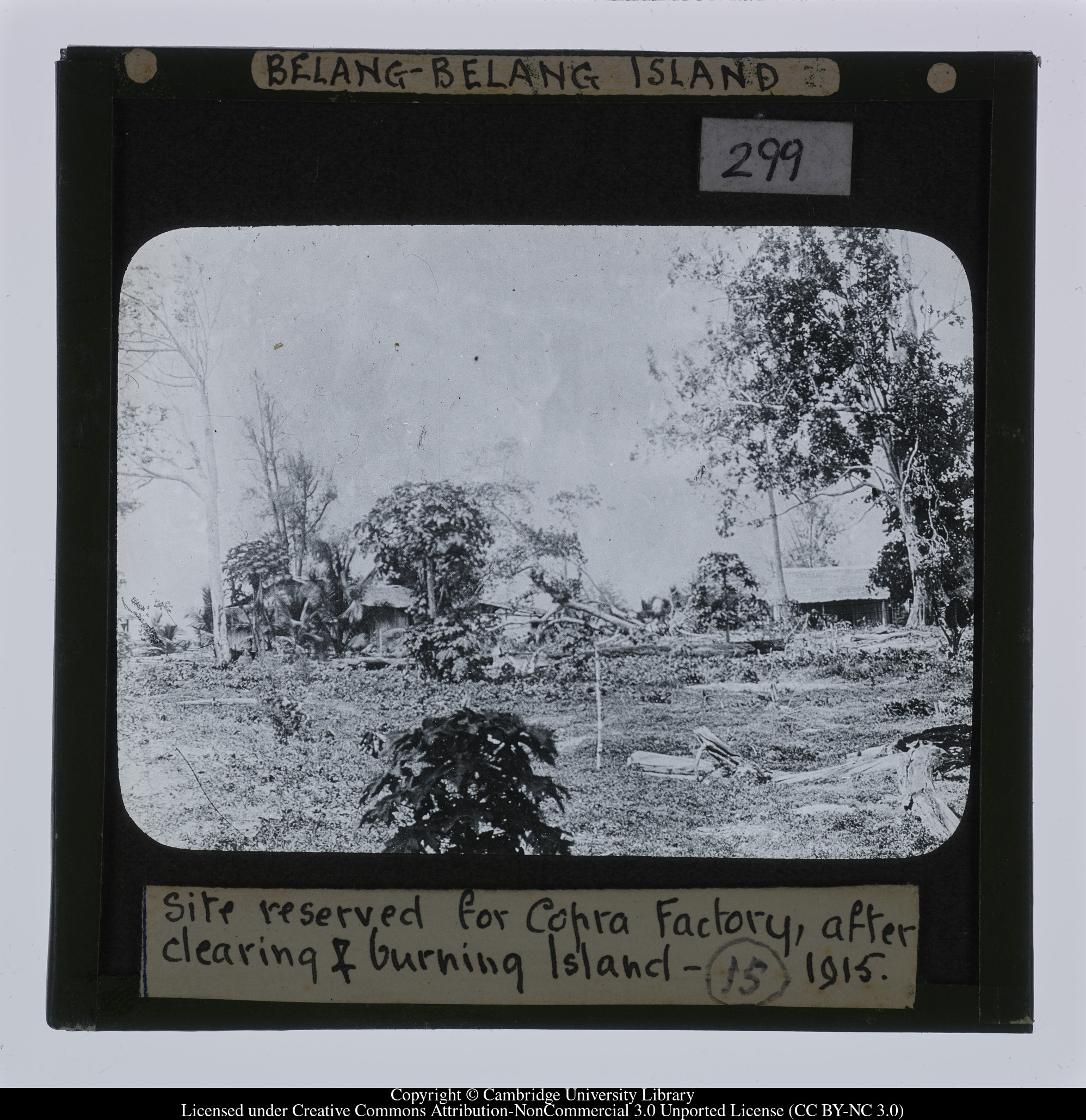 Belang-Belang Island.  Site reserved for Copra Factory, after clearing and burning Island. 1915, 1915