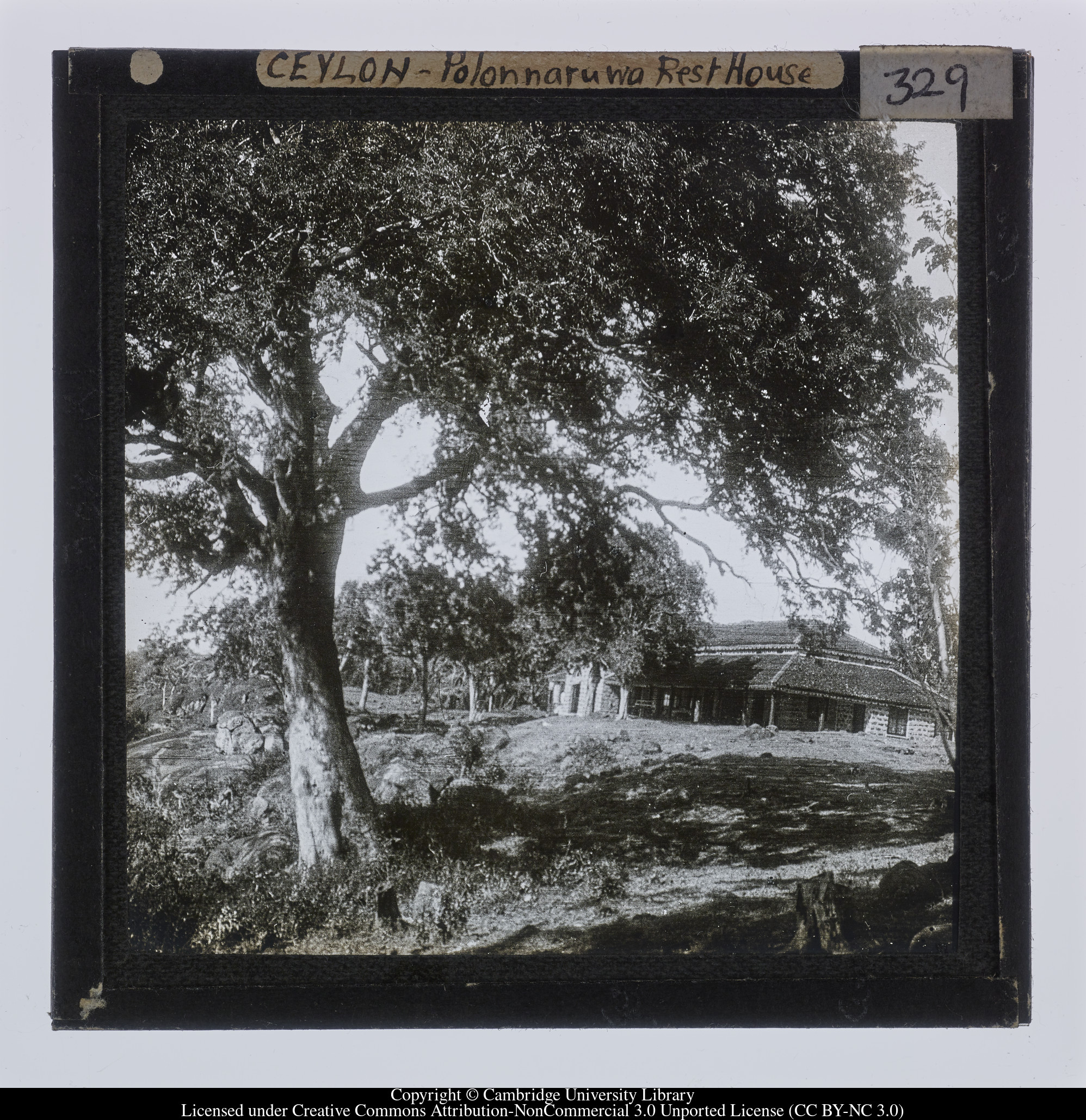 Ceylon [i.e. Sri Lanka] - Polonnaruwa Rest House, 1910 - 1911