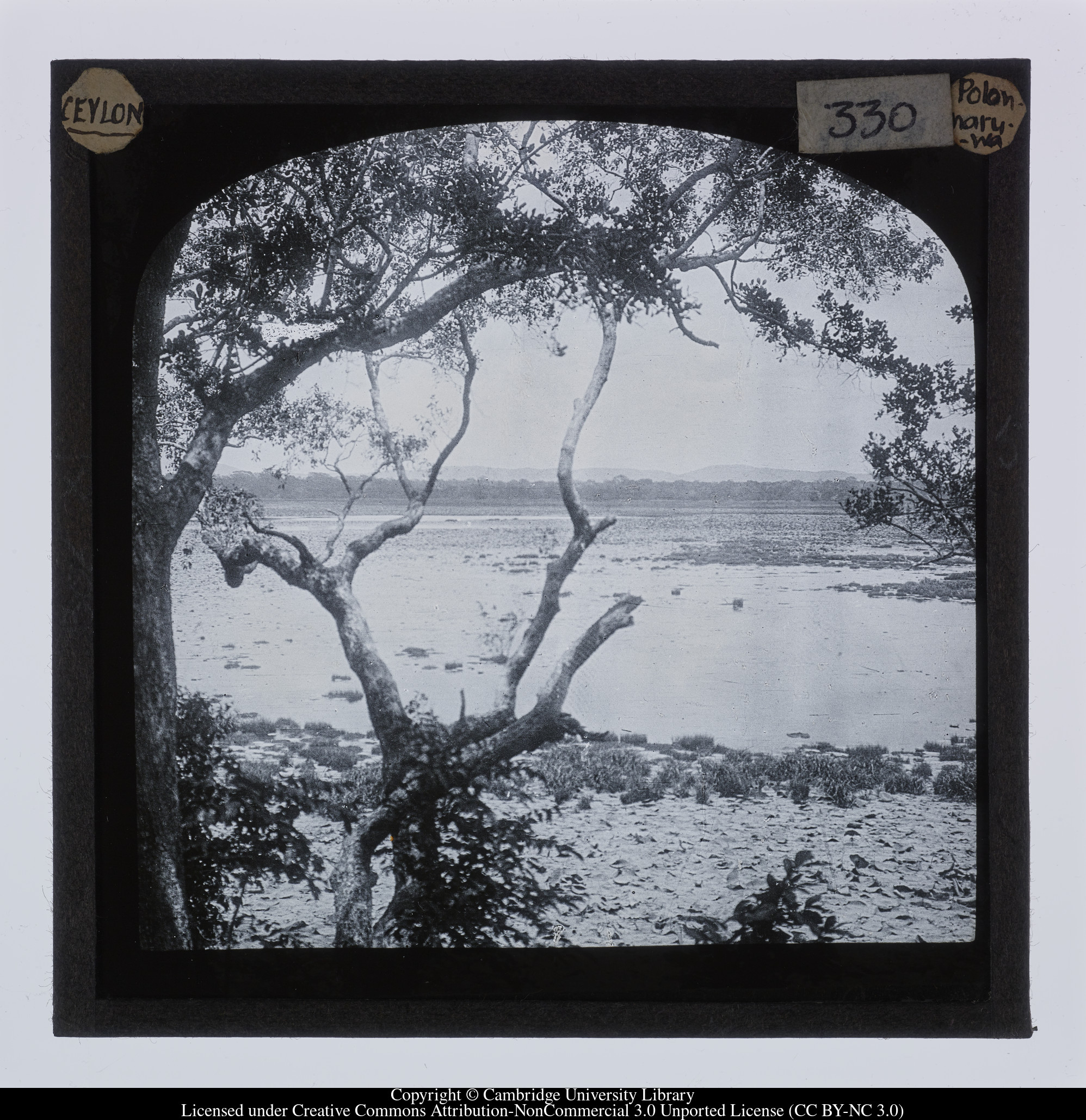 Ceylon [i.e. Sri Lanka] - Polonnaruwa, 1910 - 1911