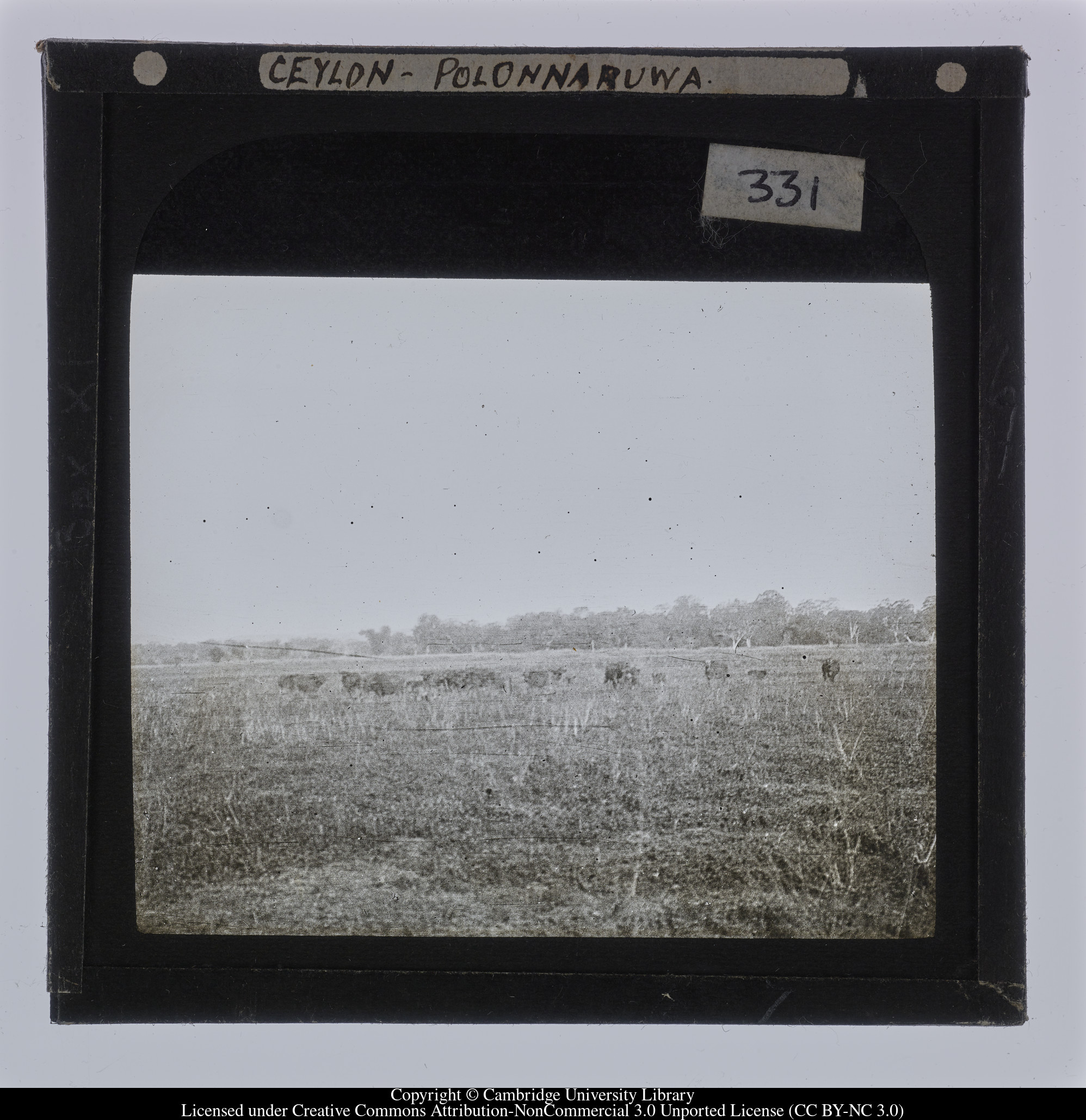 Ceylon [i.e. Sri Lanka] - Polonnaruwa, 1910 - 1911