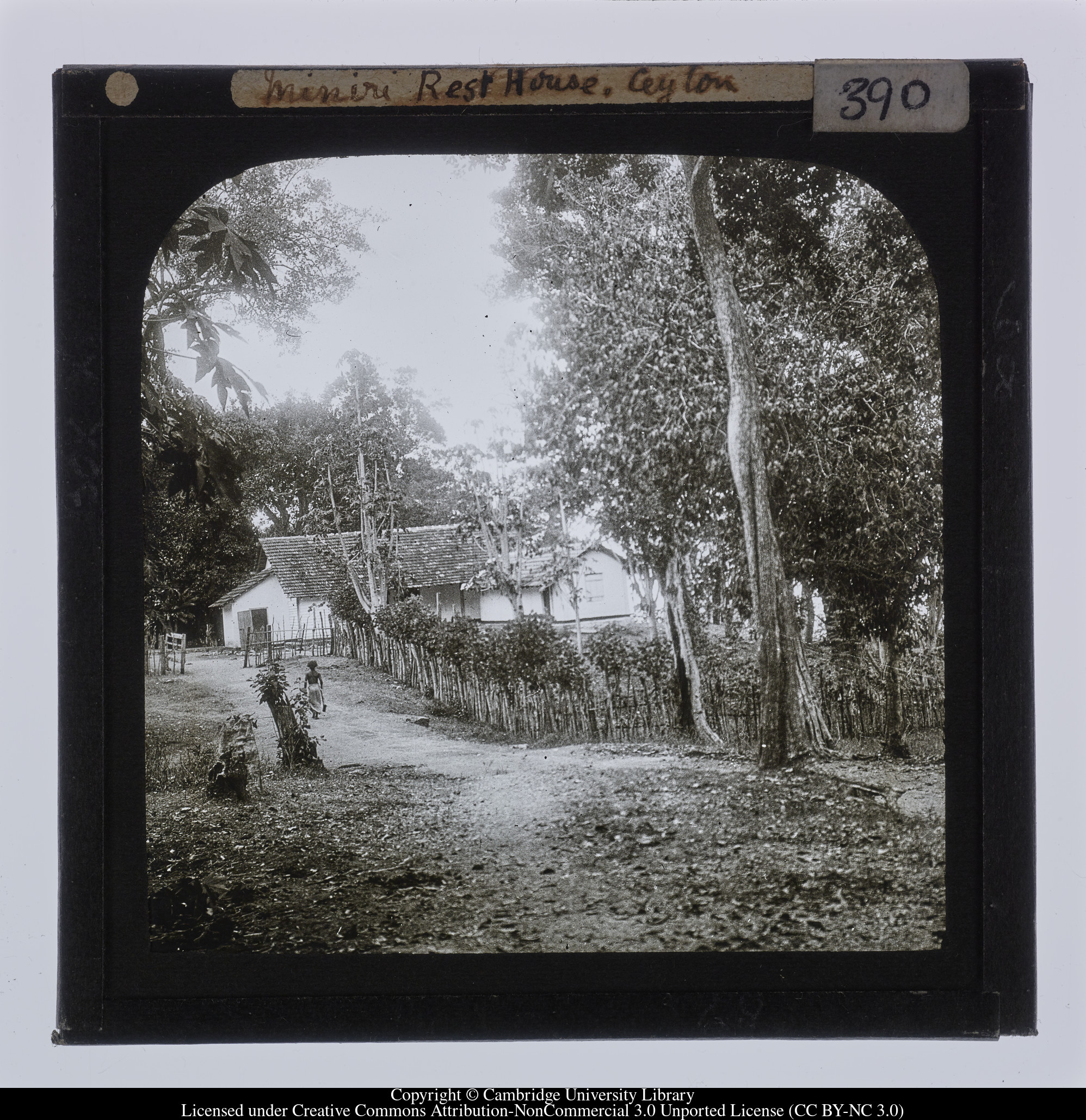 Miniri [Minneriya] resthouse, Ceylon [i.e. Sri Lanka], 1910 - 1911