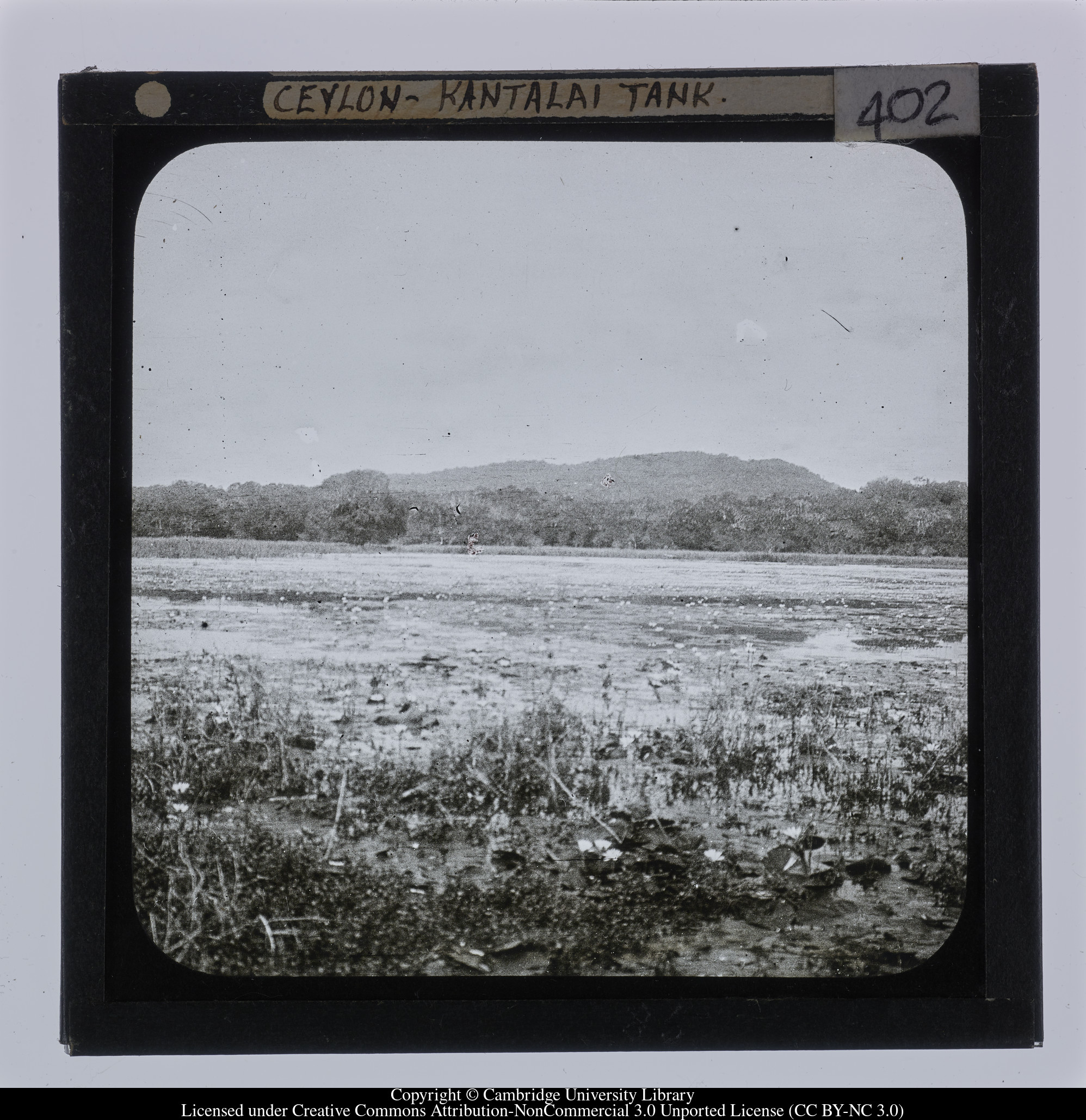 Ceylon [i.e. Sri Lanka] - Kantalai Tank, 1910 - 1911