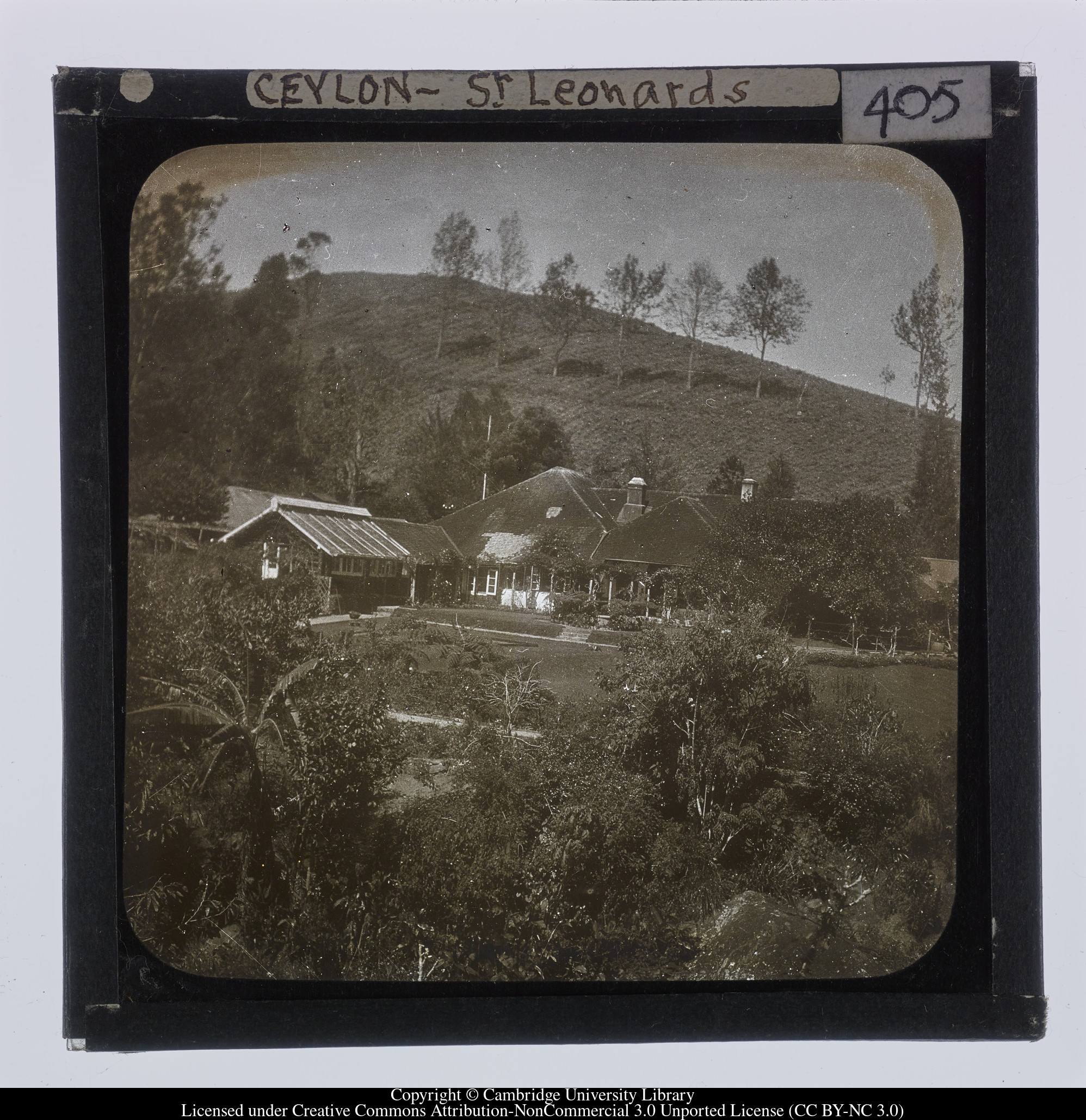 Ceylon [i.e. Sri Lanka] - St Leonards, 1910 - 1911