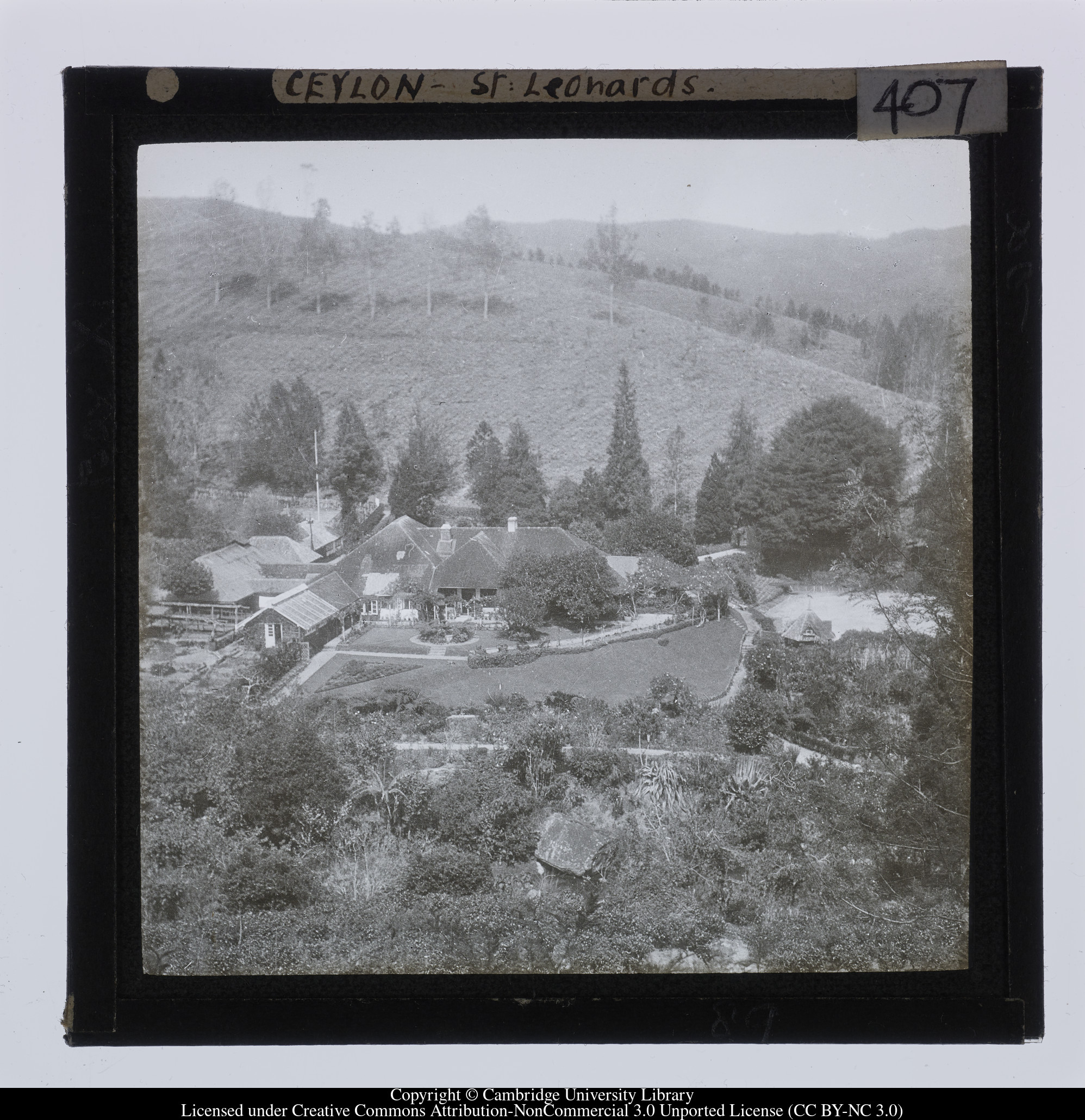 Ceylon [i.e. Sri Lanka] - St Leonards, 1910 - 1911