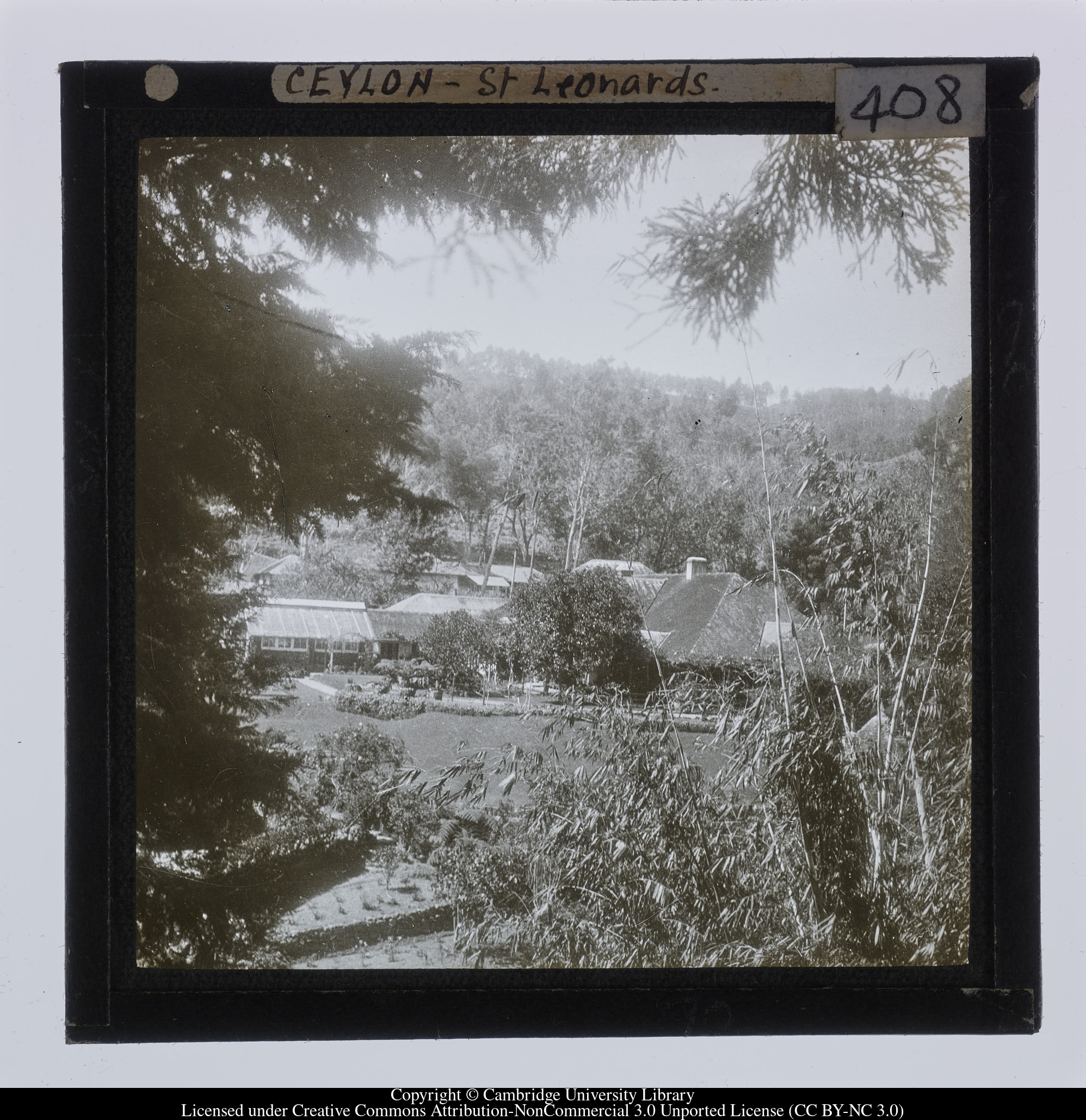 Ceylon [i.e. Sri Lanka] - St Leonards, 1910 - 1911