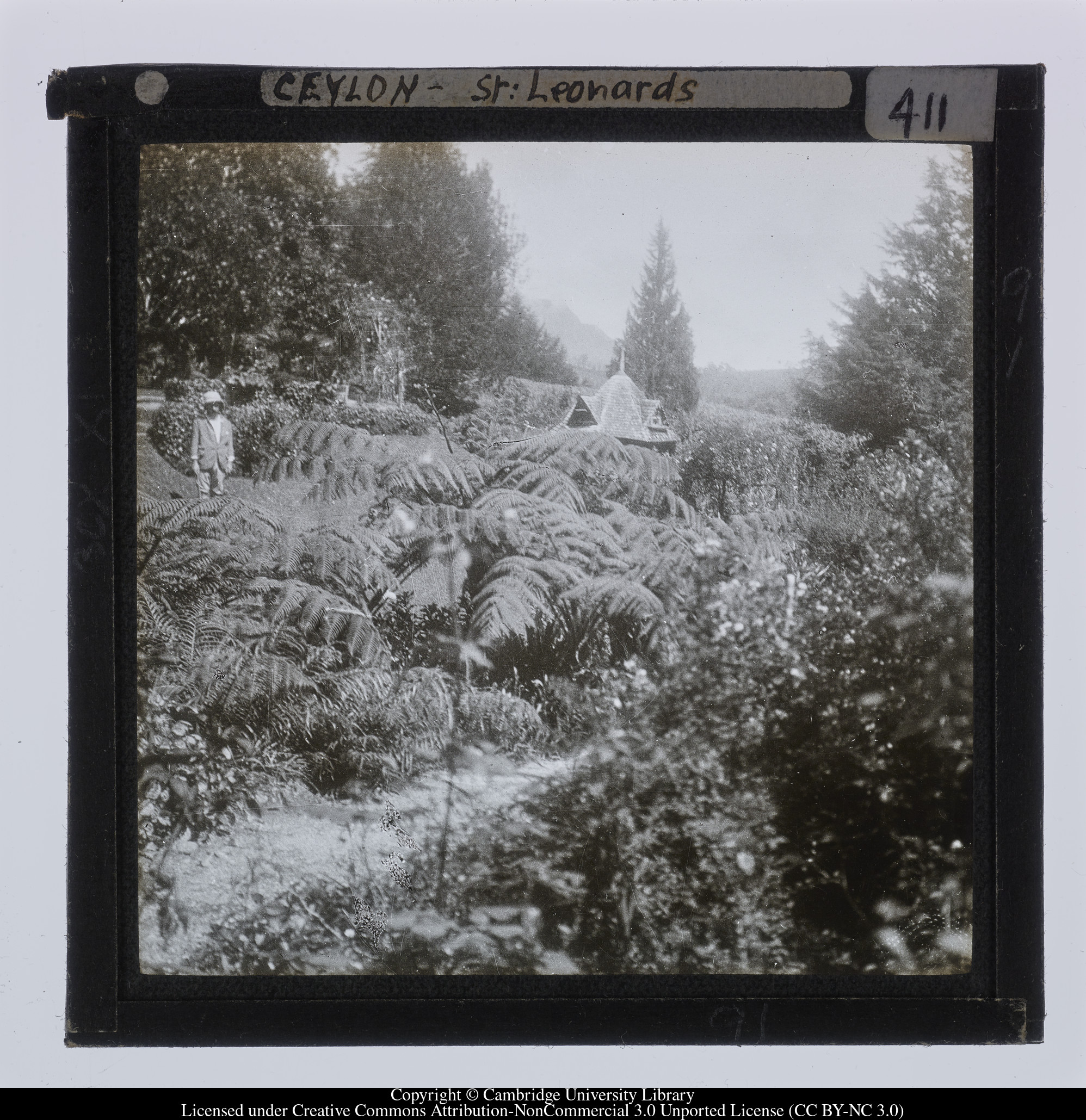 Ceylon [i.e. Sri Lanka] - St Leonards, 1910 - 1911