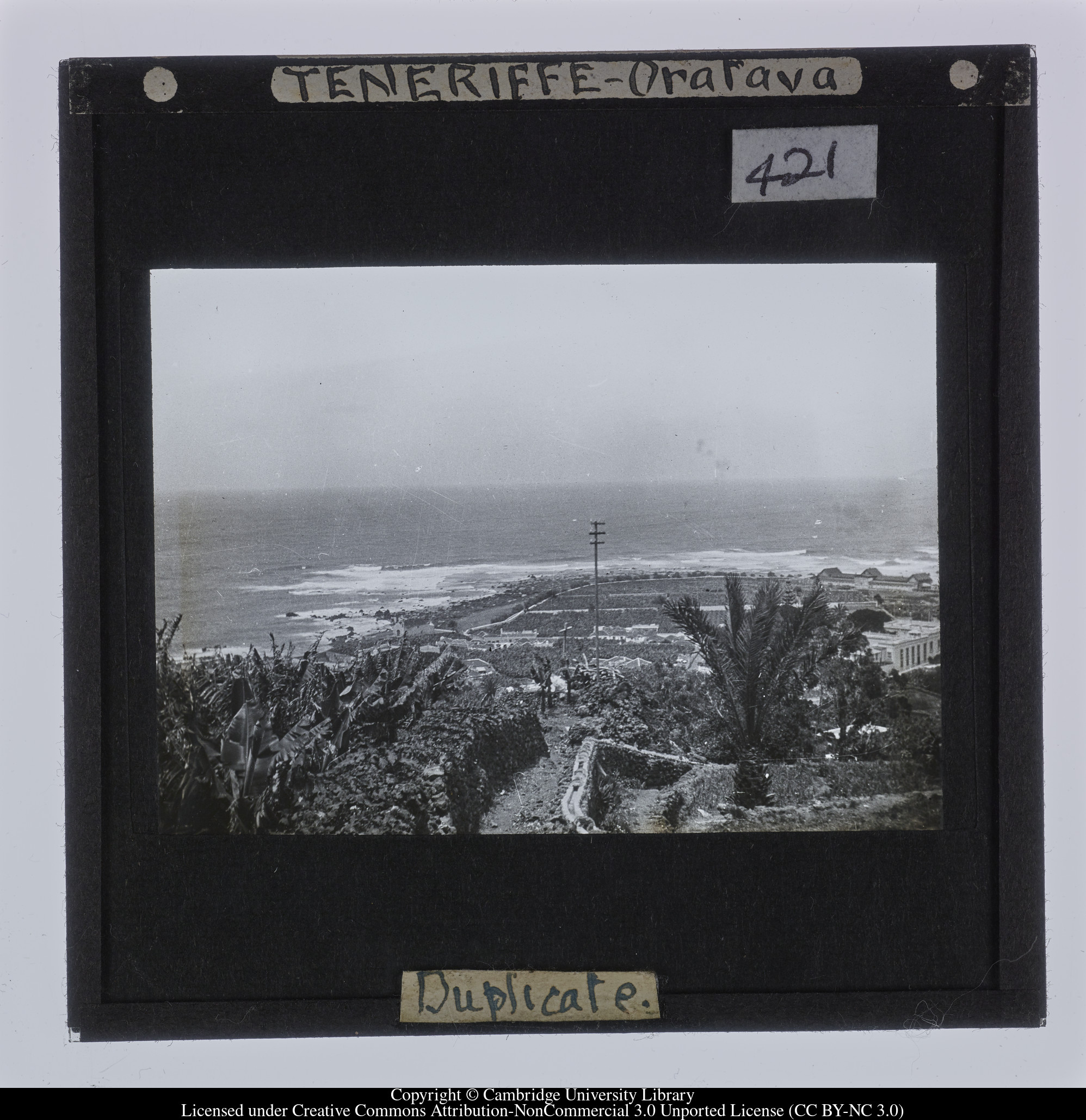 Teneriffe - Oratava [i.e. Tenerife - La Orotava], 1908 - 1914