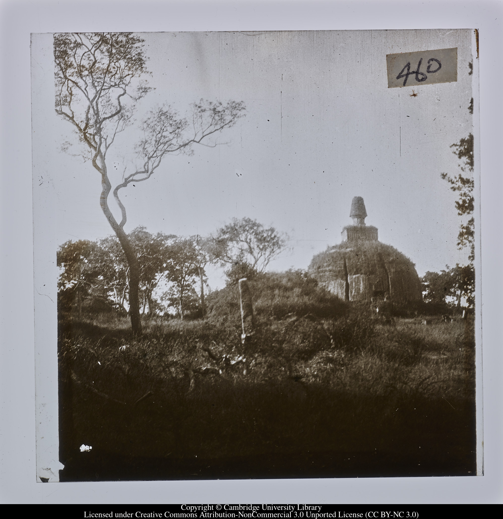 [Sri Lanka - Polonnaruwa], 1908 - 1914