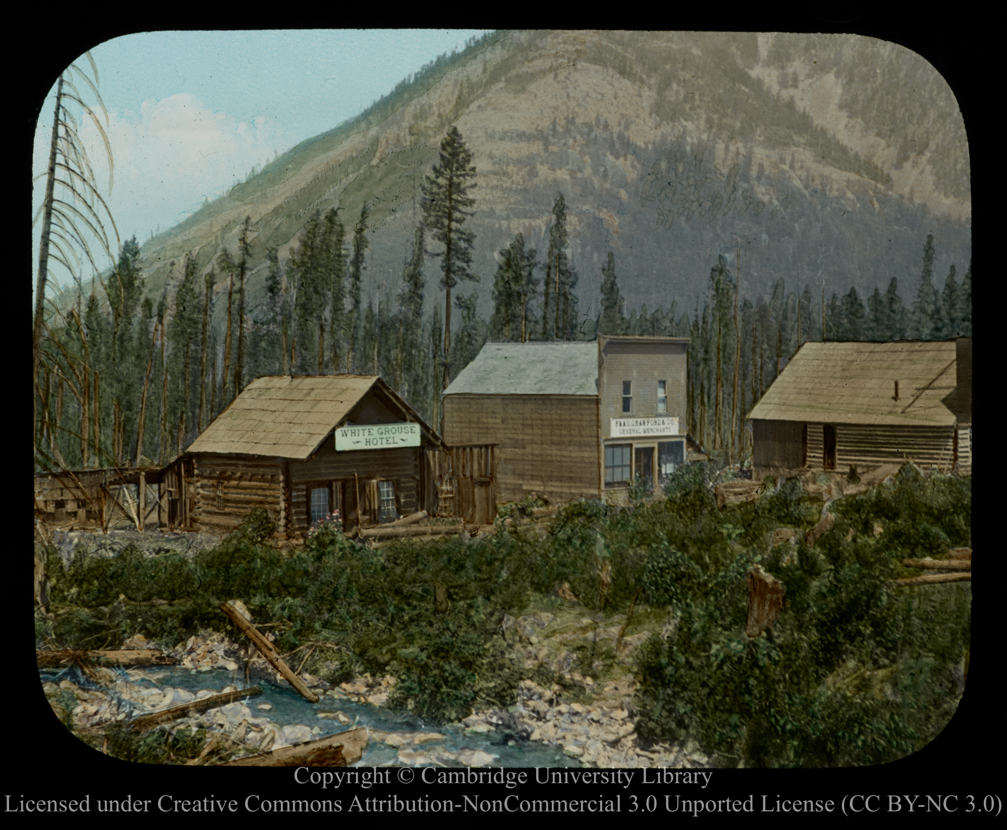 Settlers clearing in the Forest, B.C, 1910 - 1930