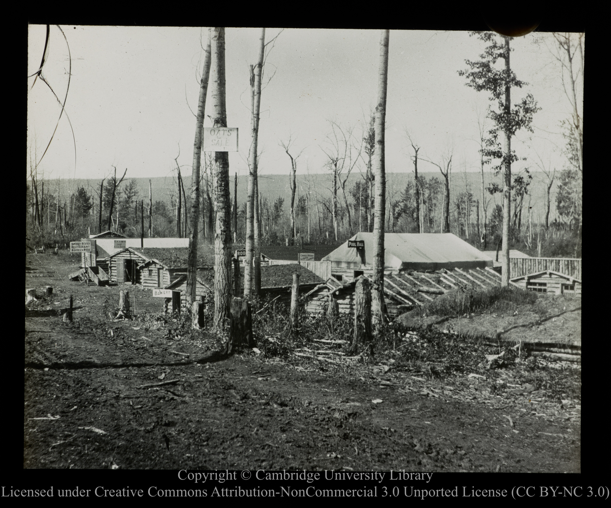 [Group of cabins, with notice boards advertising barley, oats, etc..., for sale], 1910 - 1930