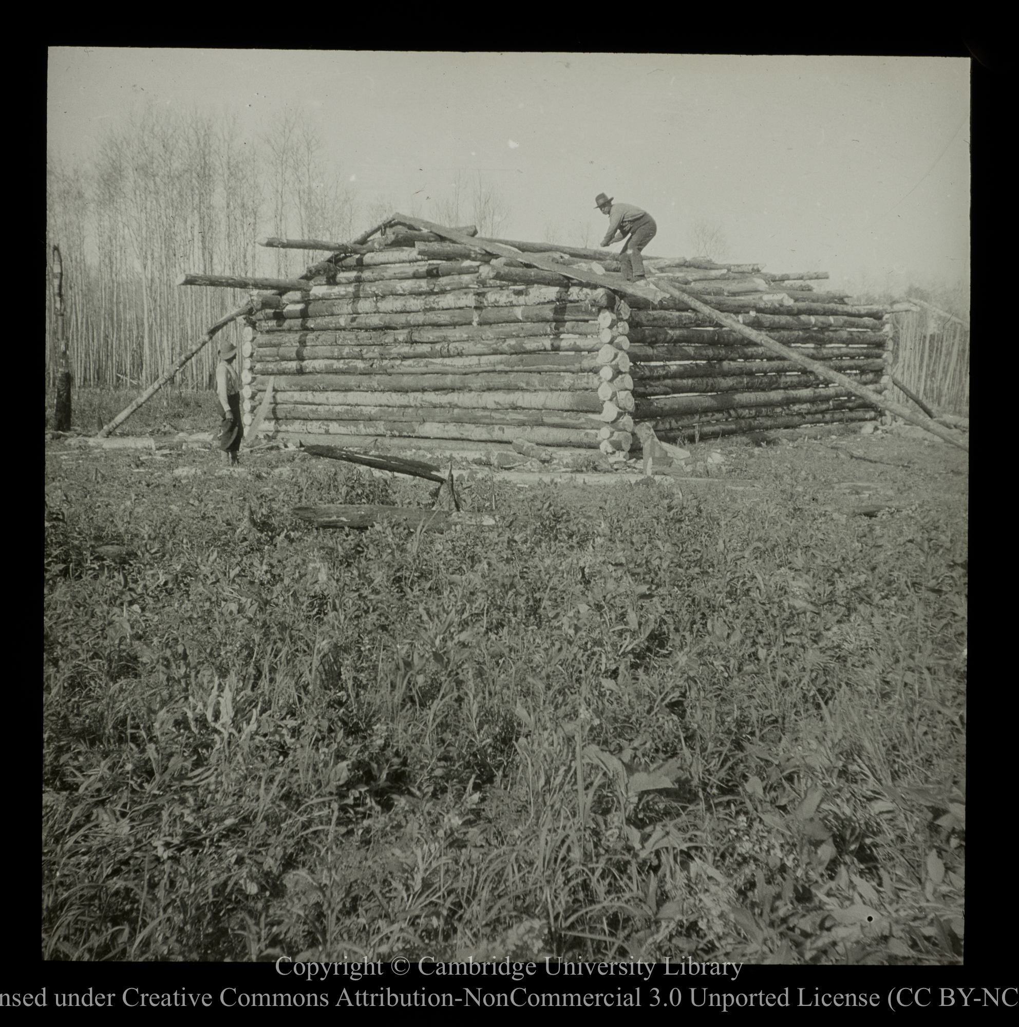 [Roofing a cabin], 1910 - 1930