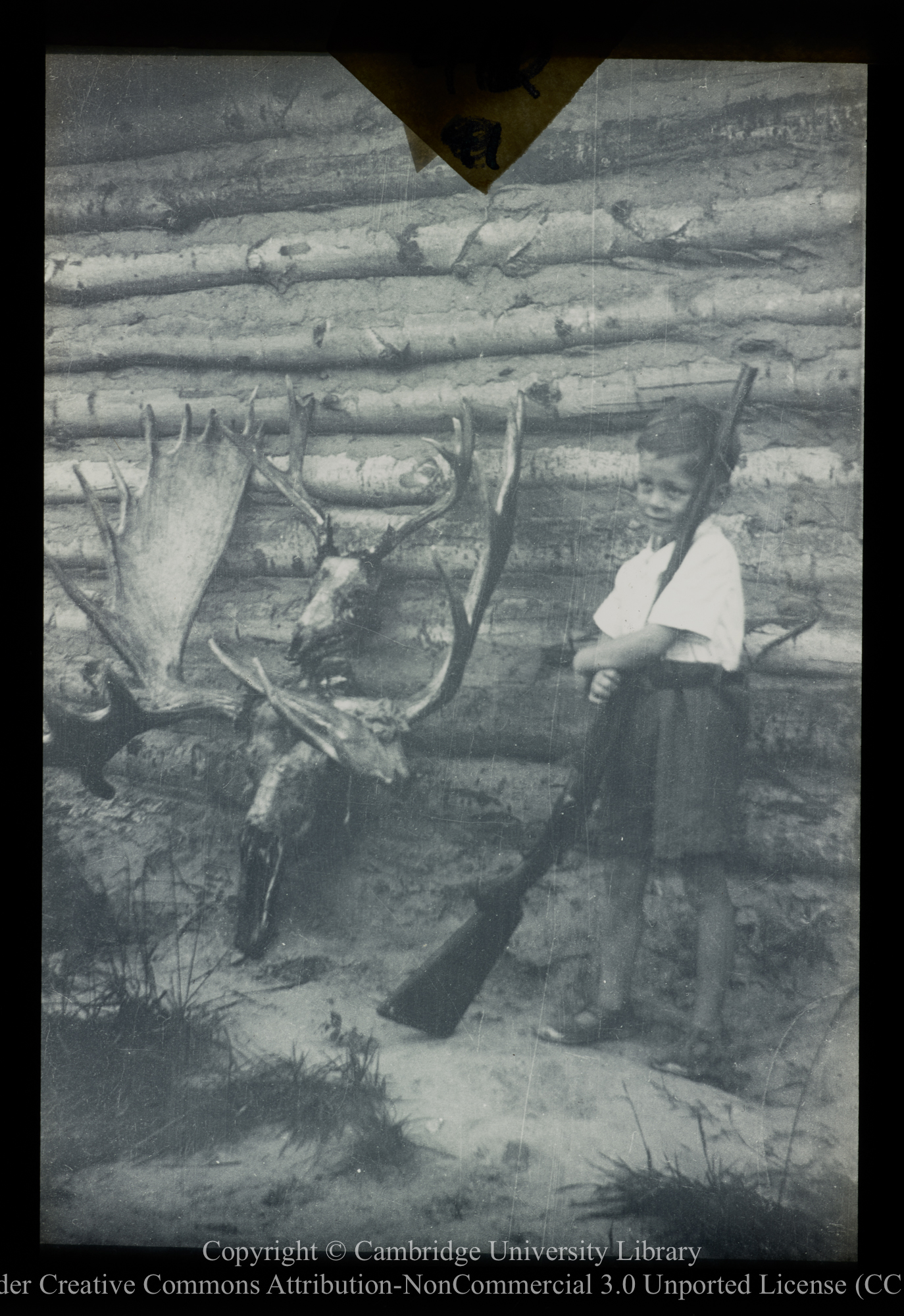 [Small boy with gun and moose antlers], 1910 - 1930