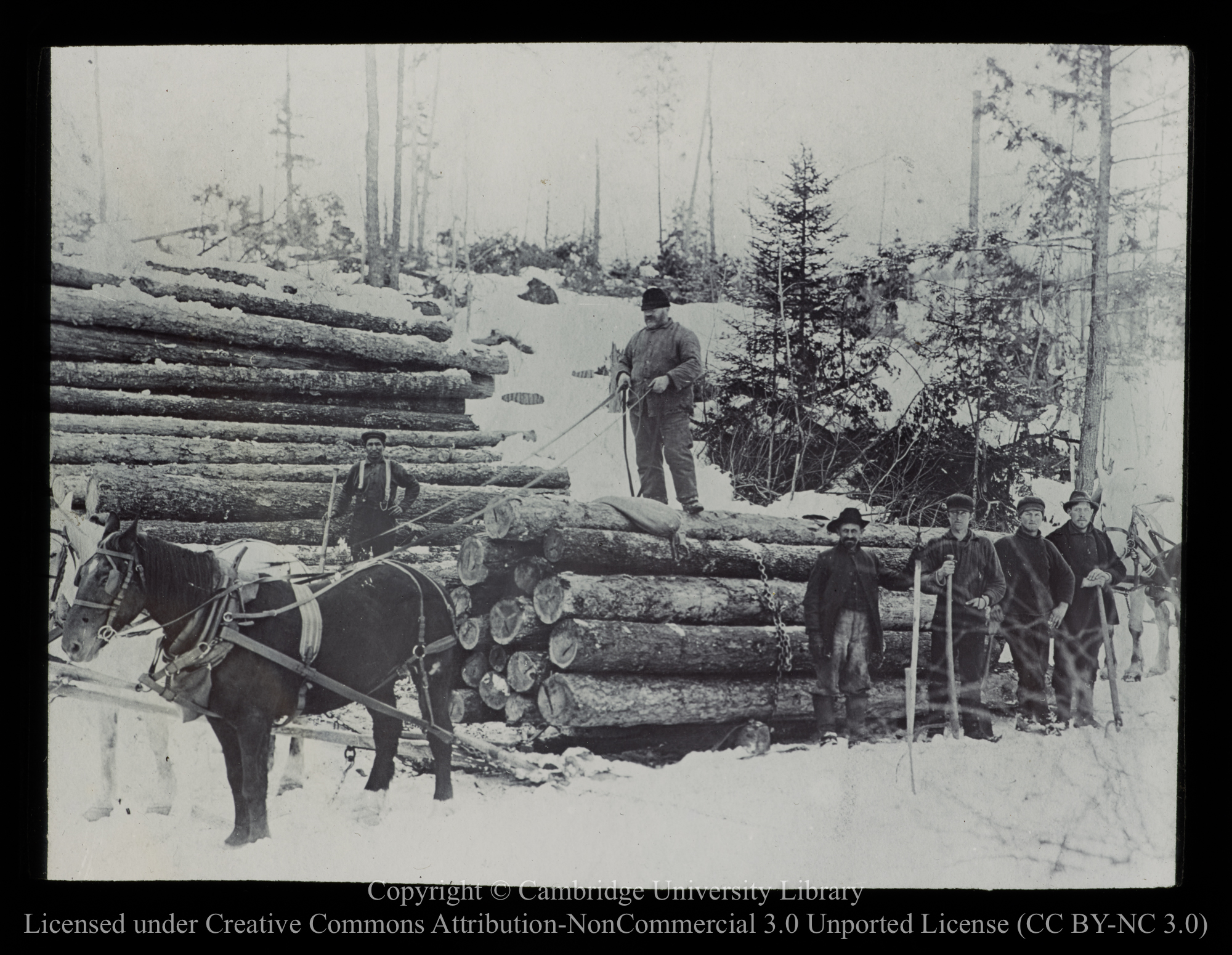 A load of timber, 1910 - 1930