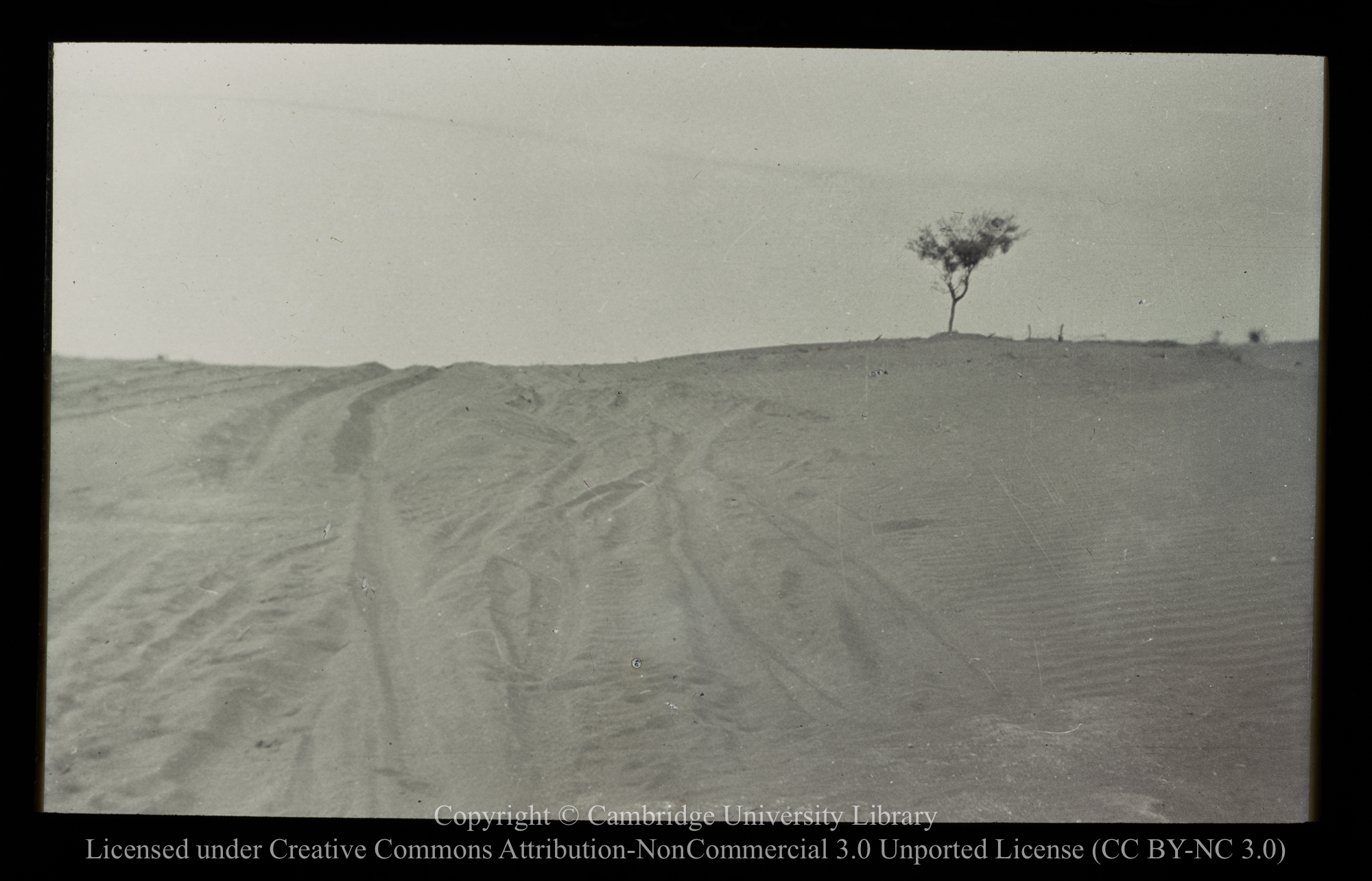 Sand hills across track beyond Wilacannia, far west N.S.W. [i.e. New South Wales], 1910 - 1930