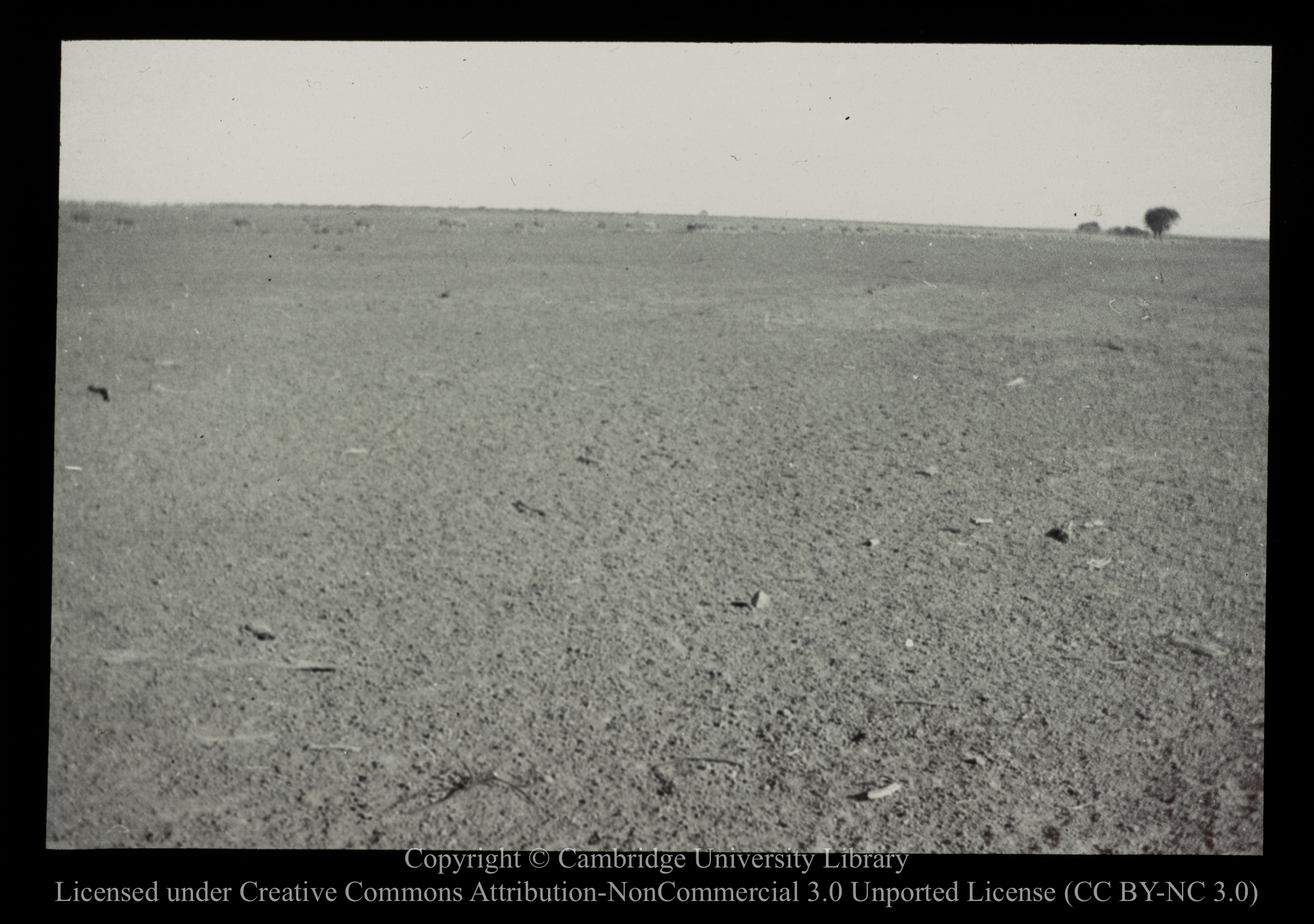 Plains in N.S.W. [i.e. New South Wales], 1910 - 1930