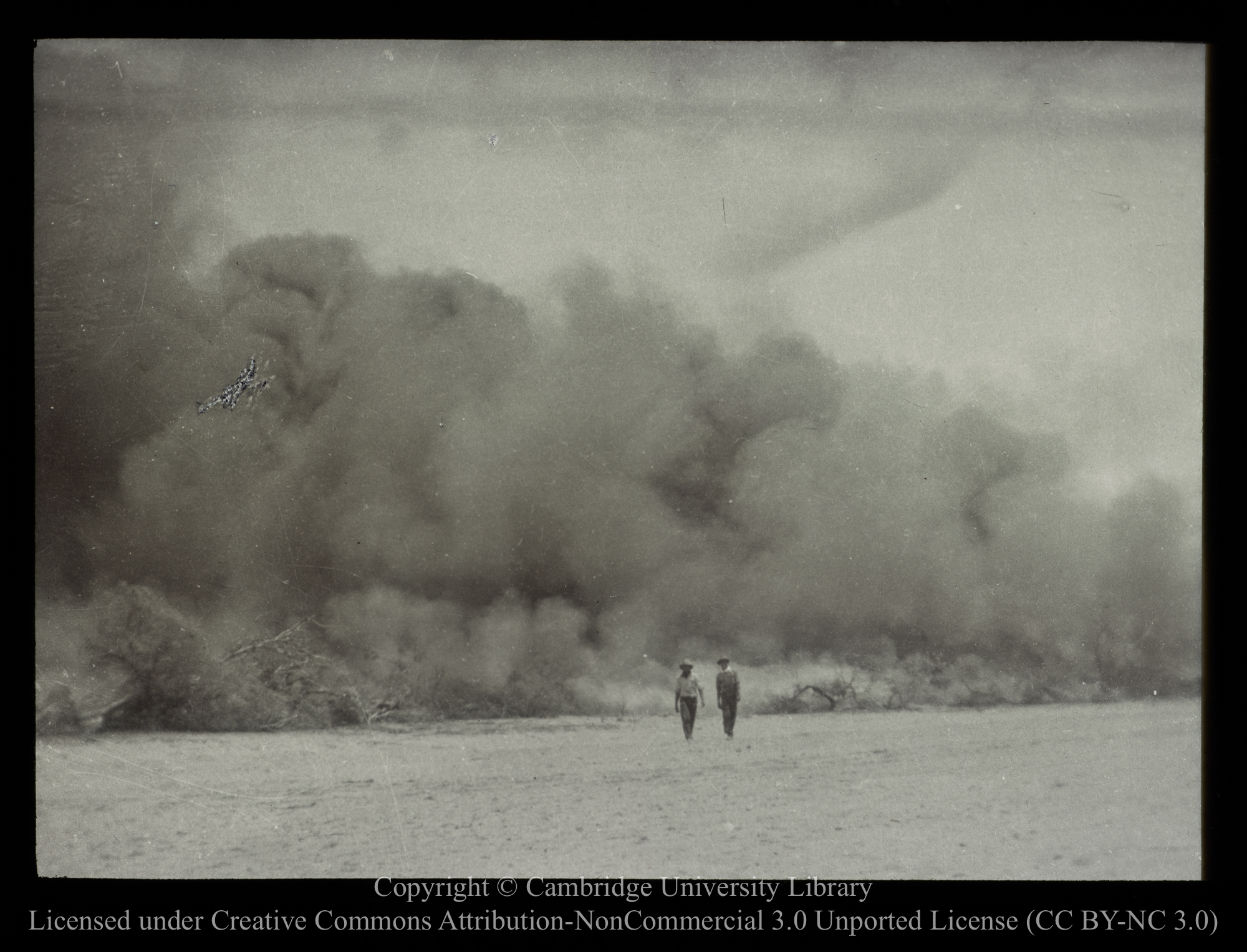 Scrub fire, Penong, S. Aust. [i.e. South Australia], 1910 - 1930