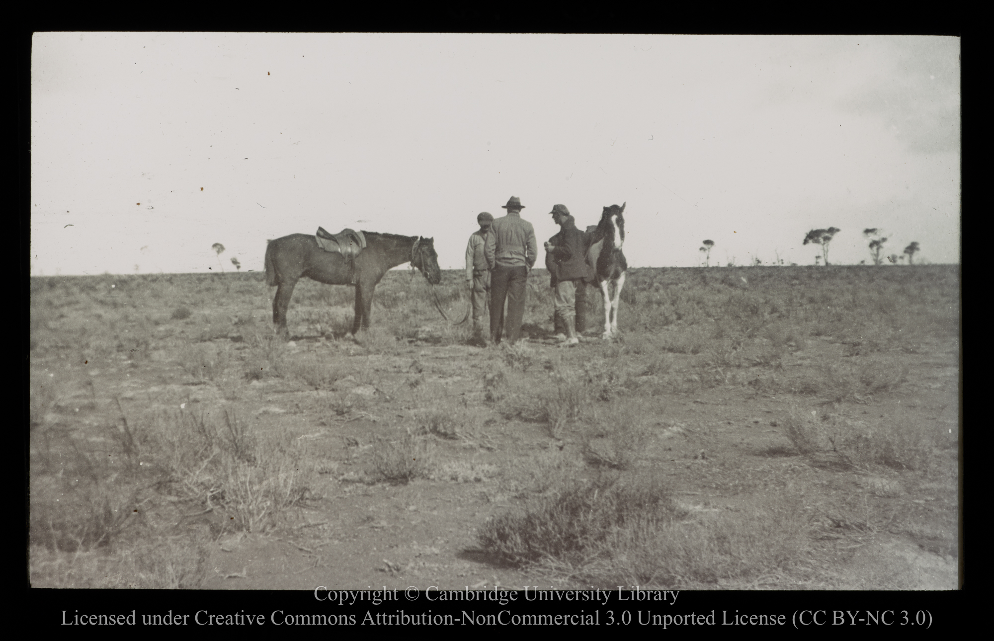 Nullarbor Plain, 1910 - 1930