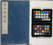 Tebikino Ito (FJ.490.12)