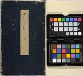 Sagoromono Shitahimo (FJ.740.34)