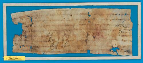 1v