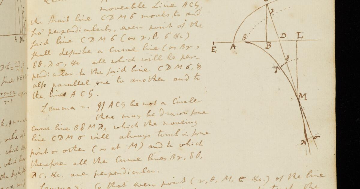 Newton Papers : Fluxions