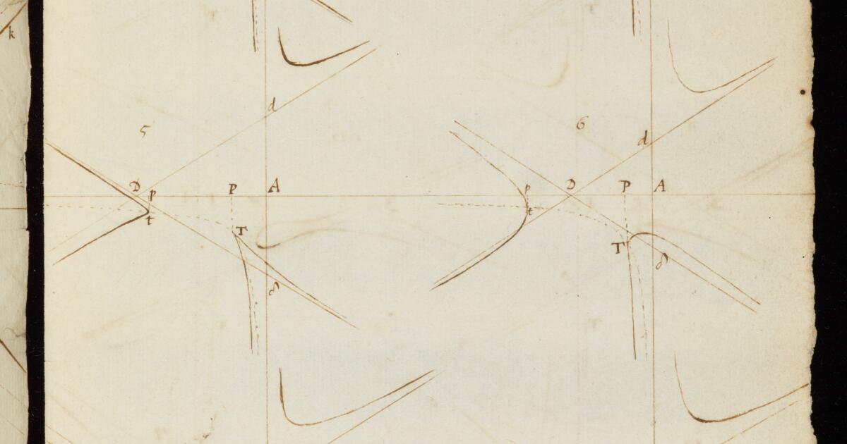 Newton Papers : Enumeration of lines of the third order
