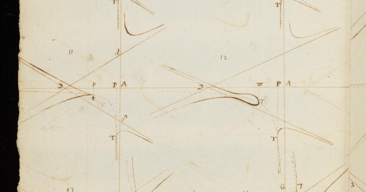 Newton Papers : Enumeration of lines of the third order