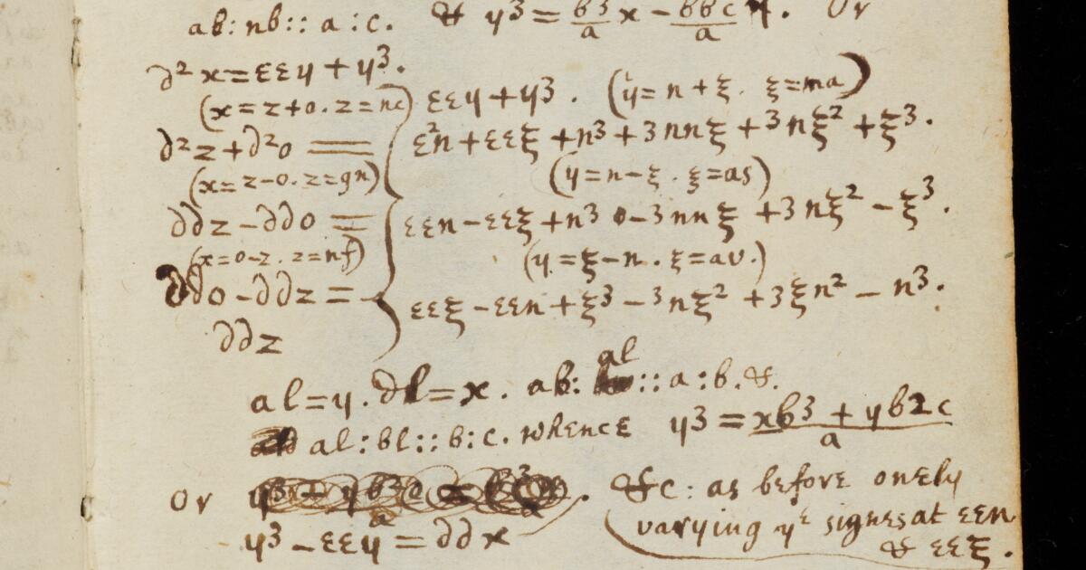 Newton Math Notebook Newton Papers : College Notebook