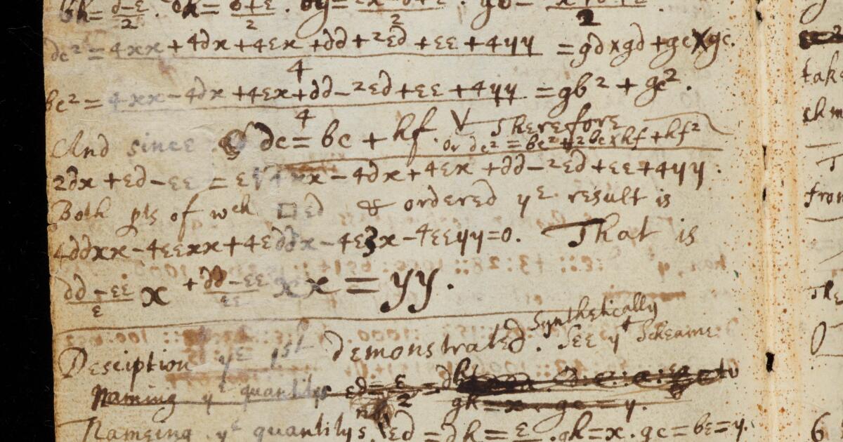 Newton Math Notebook Newton Papers : College Notebook