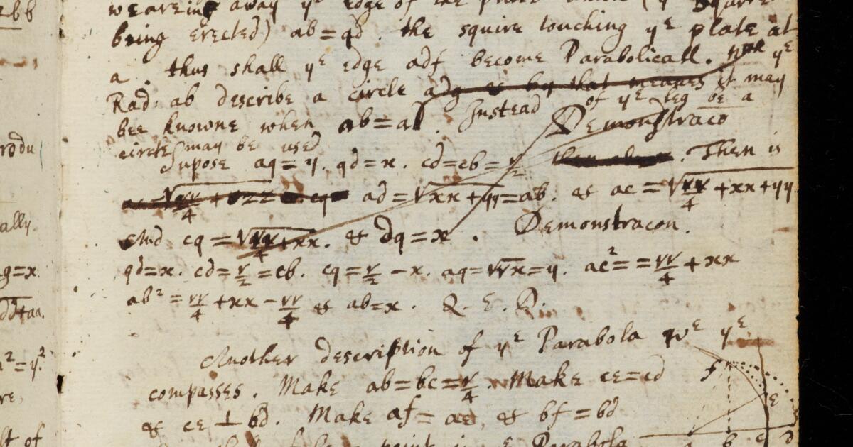 Newton Math Notebook Newton Papers : College Notebook