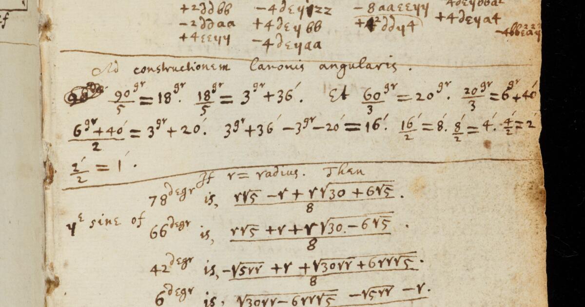 Newton Math Notebook Newton Papers : College Notebook