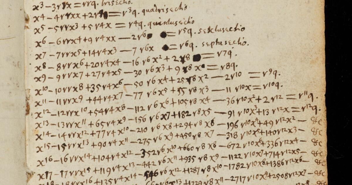 Newton Math Notebook Newton Papers : College Notebook