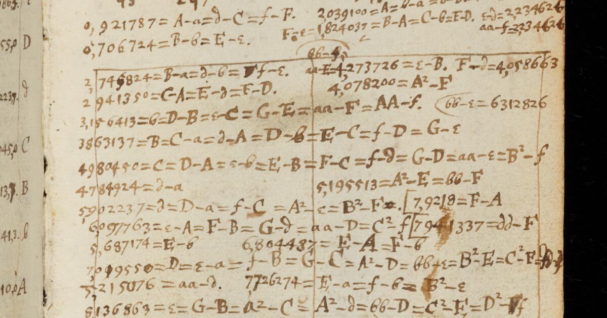 Newton Math Notebook Newton Papers : College Notebook