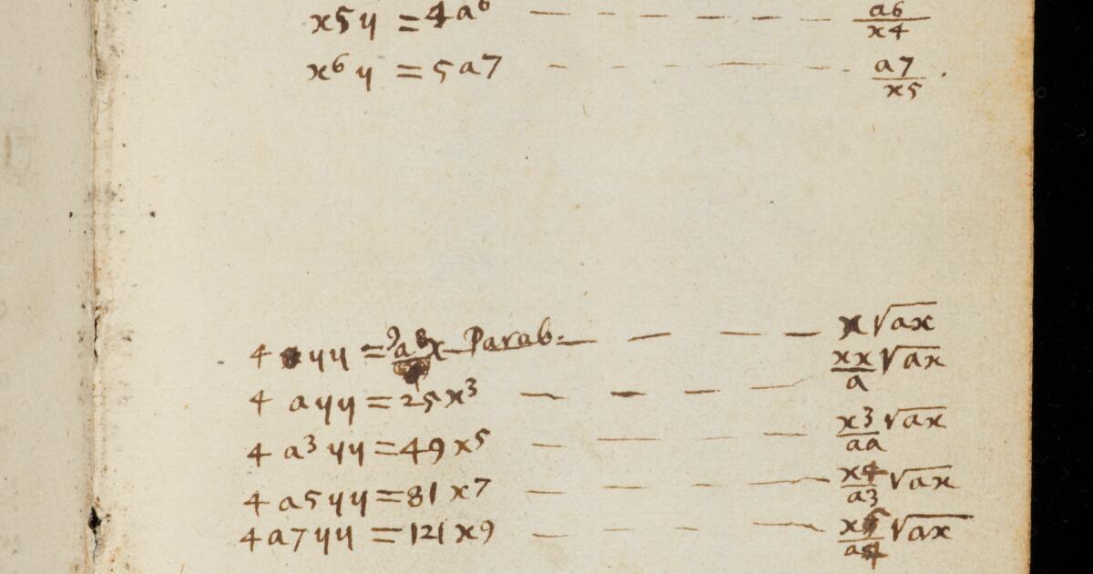 Newton Math Notebook Newton Papers : College Notebook