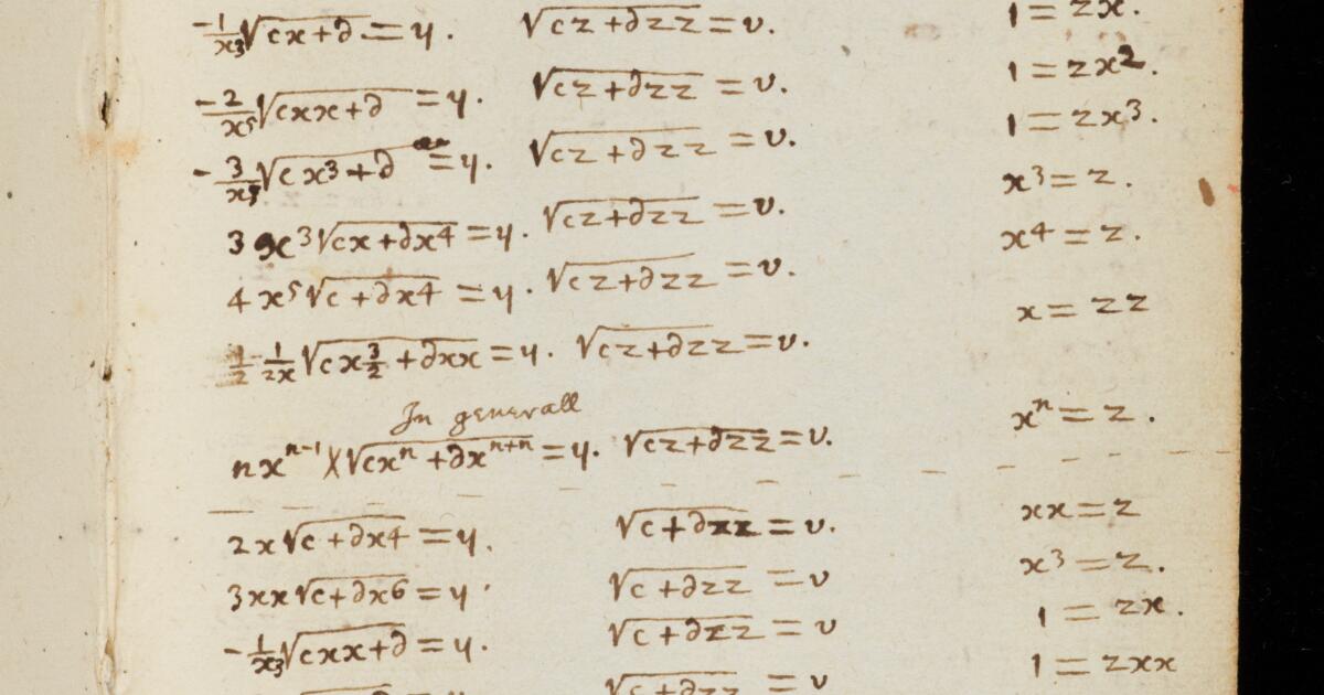 Newton Math Notebook Newton Papers : College Notebook