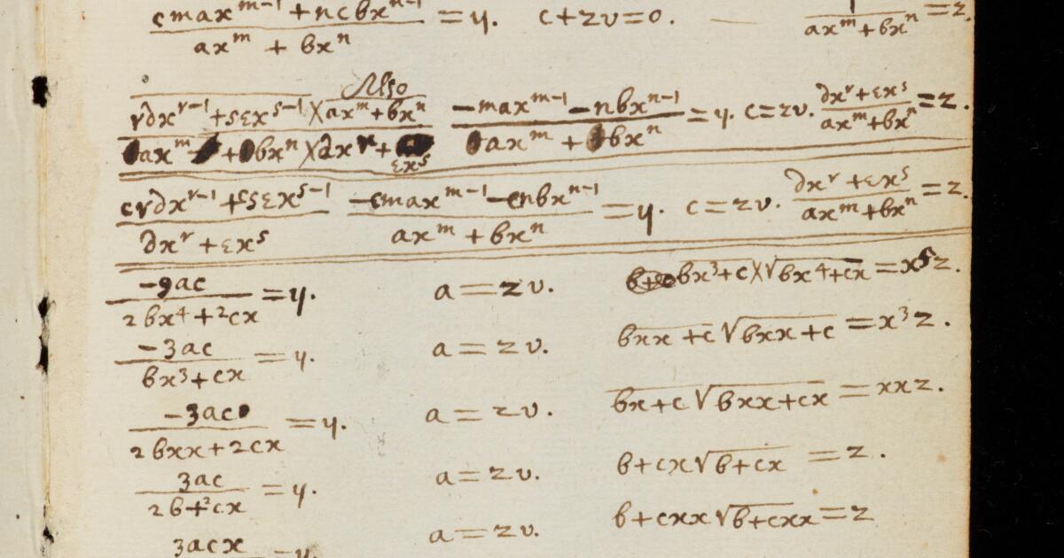 Newton Math Notebook Newton Papers : College Notebook