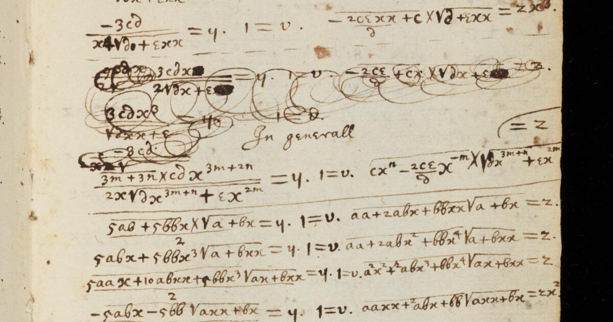 Newton Math Notebook Newton Papers : College Notebook