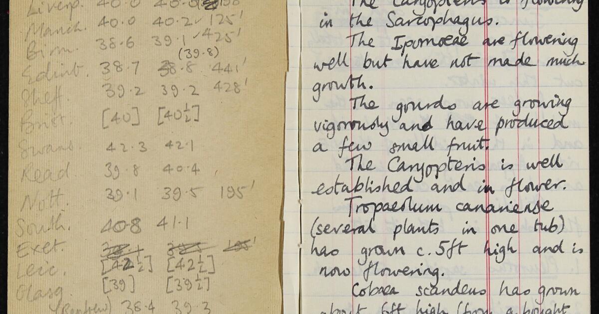 1968 Notebook Corpus Christi College : Notebook 151, covering 1 October 1968 to 12 ...