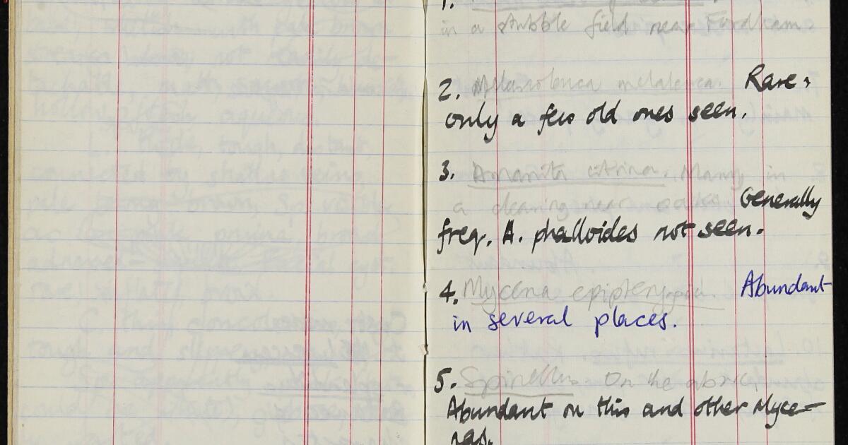 1968 Notebook Corpus Christi College : Notebook 151, covering 1 October 1968 to 12 ...