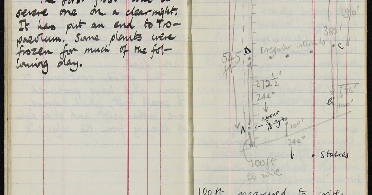 1968 Notebook Corpus Christi College : Notebook 151, covering 1 October 1968 to 12 ...