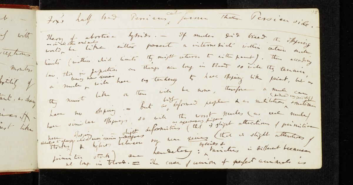 Darwin Manuscripts : Notebook D: