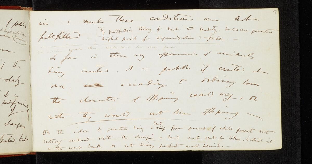 Darwin Manuscripts : Notebook D:
