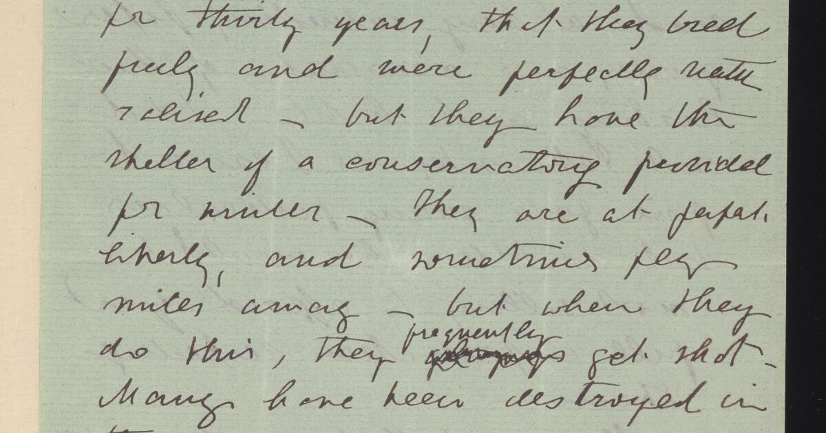 Darwin Manuscripts : Letters received: Babbington - Buxton