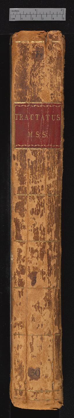 spine