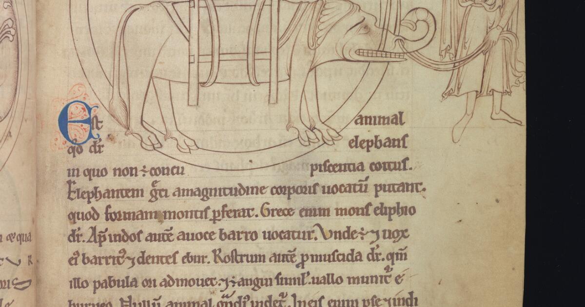 Western Medieval Manuscripts : Bestiary
