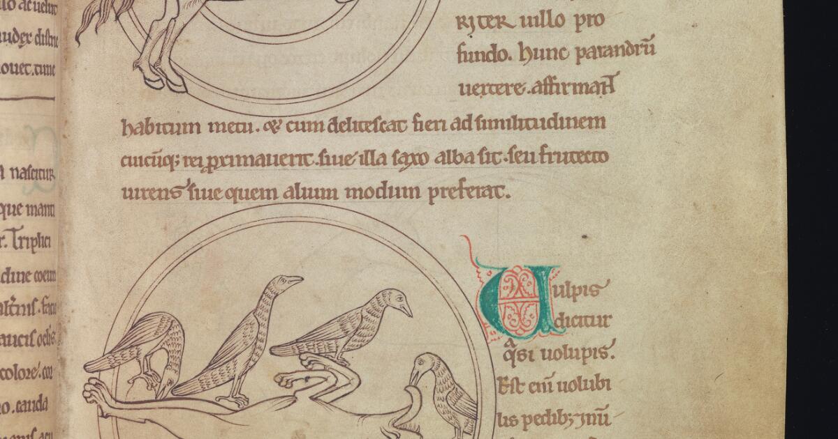 Western Medieval Manuscripts : Bestiary