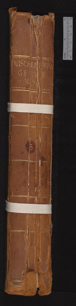 spine